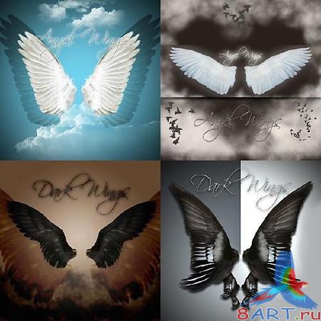     Angel and Dark Wings