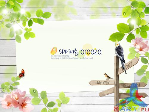 Sources - Spring foliage