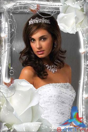   Photoshop -  