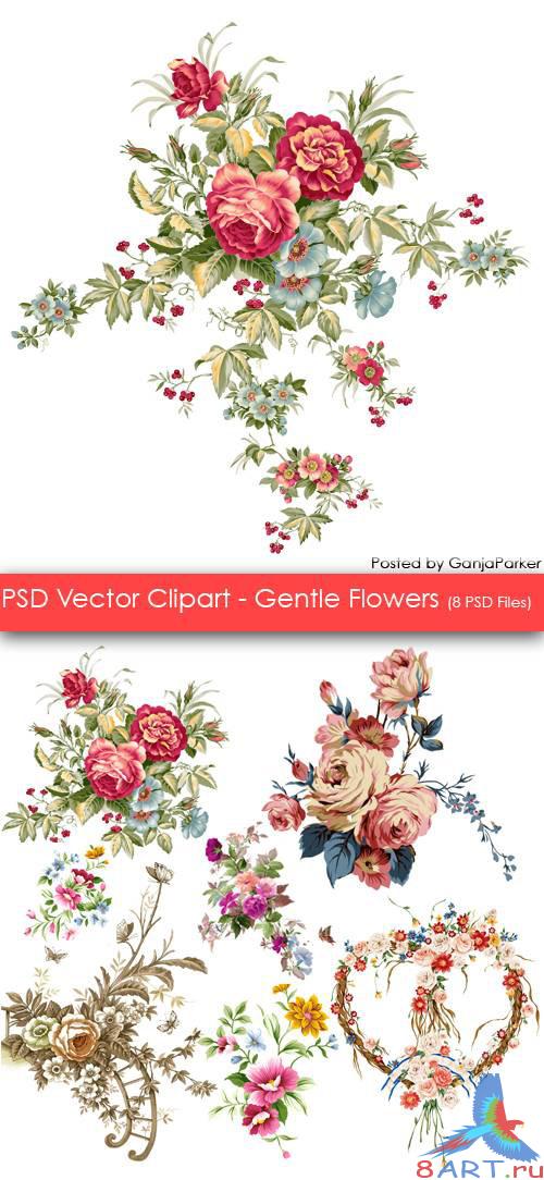 PSD Cliparts - Gentle Flowers