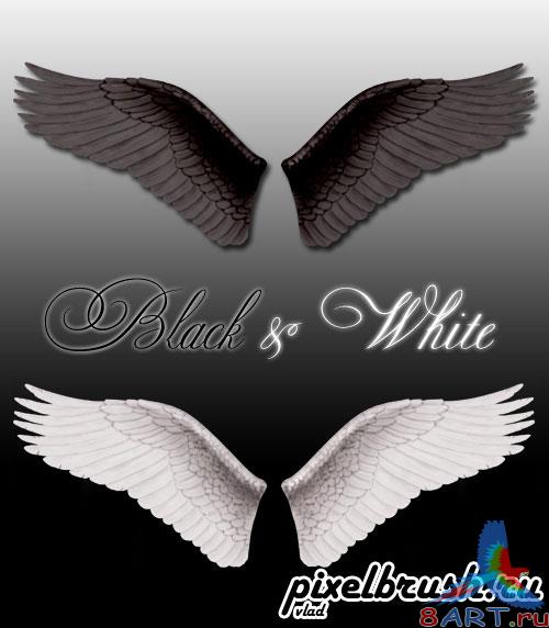 Wings Angel - Black &amp; White -  ,    (    Photoshop)