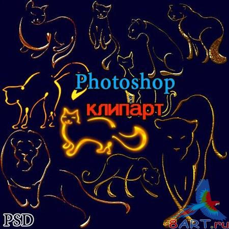 Photoshop   1 PSD