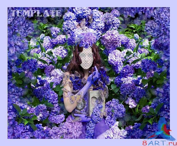    Photoshop -    
