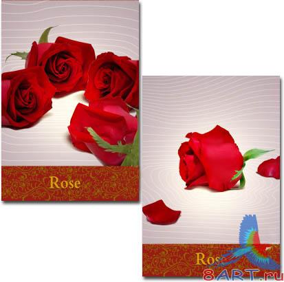  / Roses