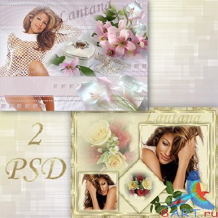PSD  -   8 