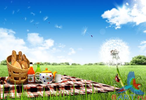 Sources - A basket of bread