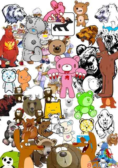   / bears