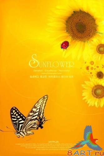 PSD Template &quot;Sunflower&quot;