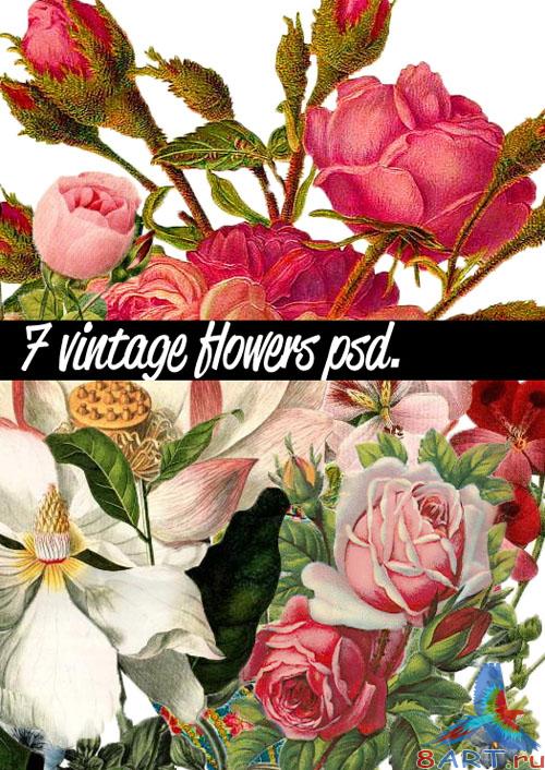 7 Vintage Flowers PSD Template