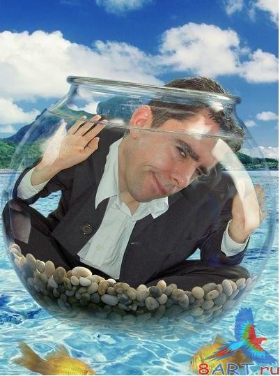   Photoshop -   