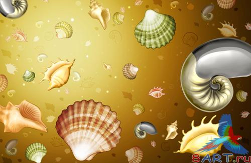 Sources - Sea Shells Sources - Sea Shells