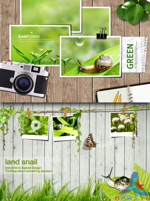 Sources - Photo of Green Nature Sources - Photo of Green Nature