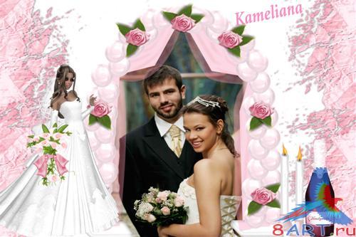    Kameliana -   8 -