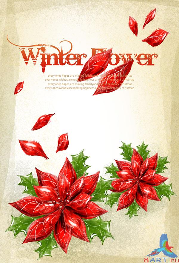 Winter Flower -     Photoshop