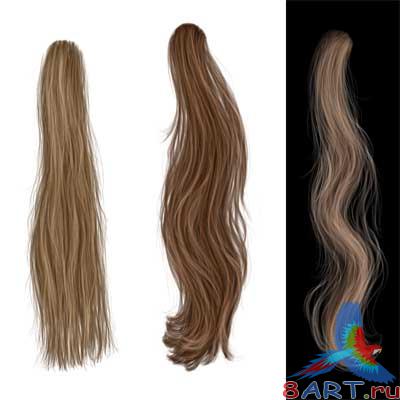 PSD исходник – Hair Stock #1 PSD исходник – Hair Stock #1