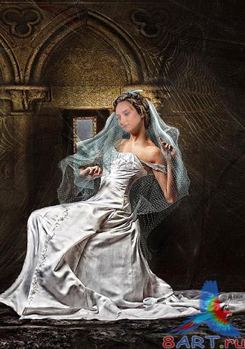     Photoshop -   