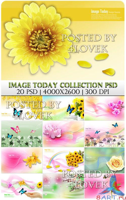 Image Today Collection PSD Image Today Collection PSD