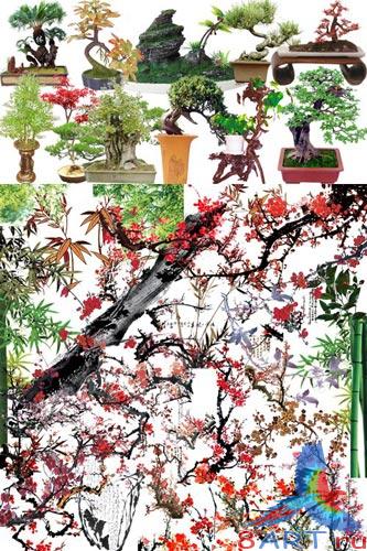 Bonsai and Japanese Nature PSD