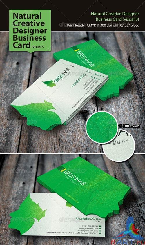 GraphicRiver Natural Creative Designer Business Card (Visual 5)