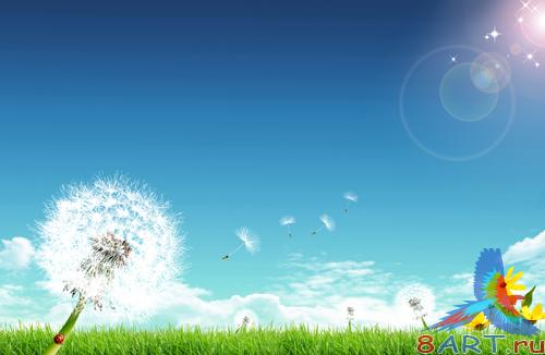 Sources - Little dandelion