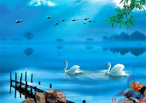 PSD - Blue Swan Lake