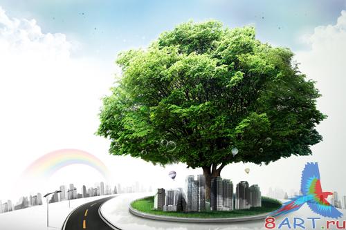 Sources - A large green tree