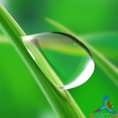 Water Drops /   - PSD 