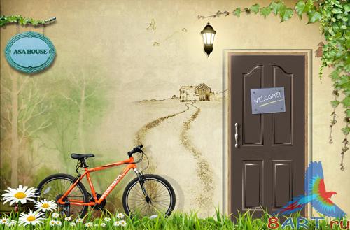 Sources - A bicycle in the yard