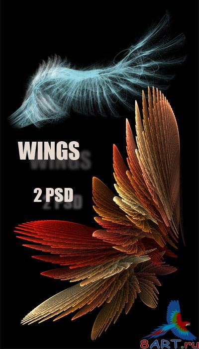   Photoshop - 