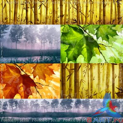 PSD  - ,  (Forest)