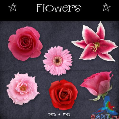 Flowers PSD Template