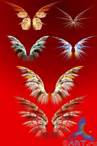 Wings - psd
