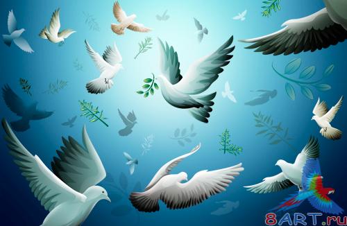 Sources - Birds in the sky Sources - Birds in the sky
