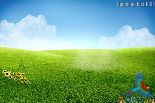 Spacious box PSD