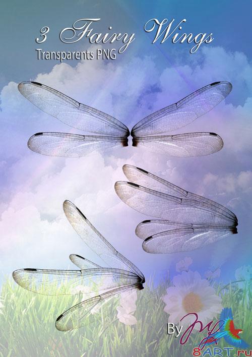 3 Fairy Wings PSD Template