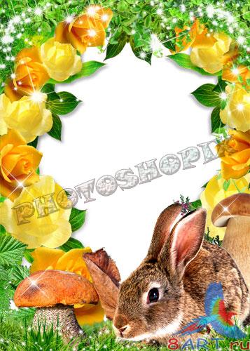     Photoshop   