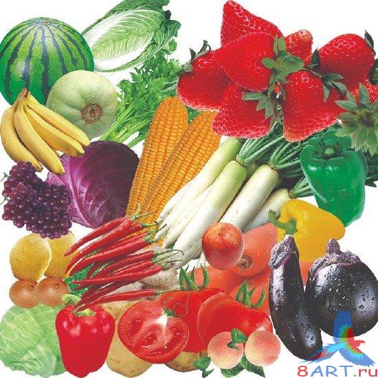PSD  -  / Vegetables