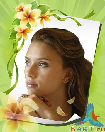 Photoframe-Green letter -  (  )