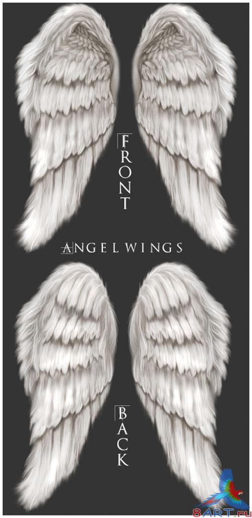 PSD Template - Wings PSD Template - Wings