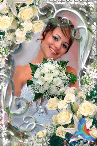   Photoshop -  