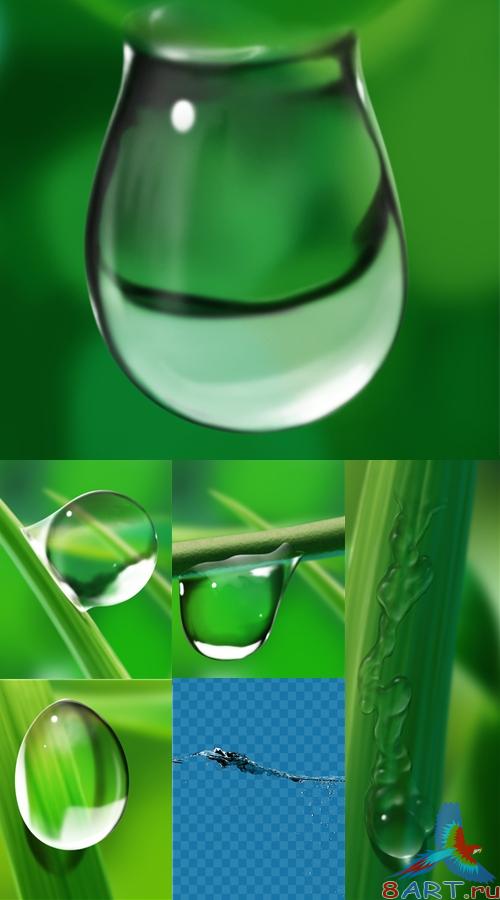 Water Drops /   - PSD 