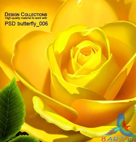 Butterfly PSD vol.6