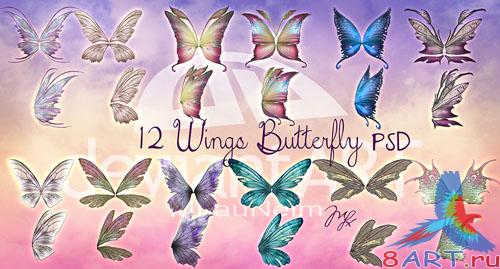 12 Wings Butterfly PSD Template