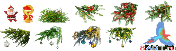 Christmas tree branch
