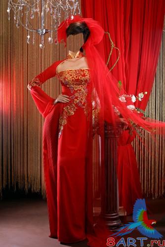     Photoshop -    