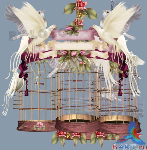 Bird Cages