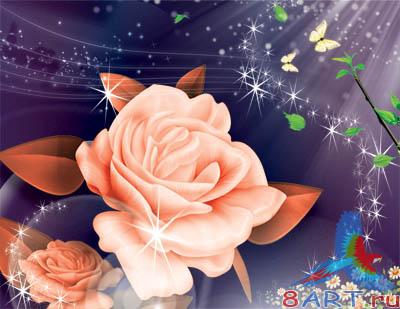 Pink Flower /  
