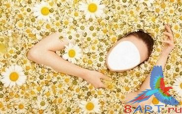 Шаблон с целью фото Цветочная купель Шаблон с целью фото Цветочная купель