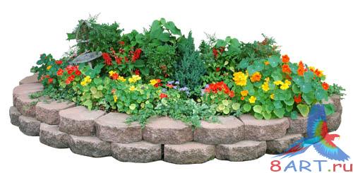 PSD Templates -  Flowers and Plants
