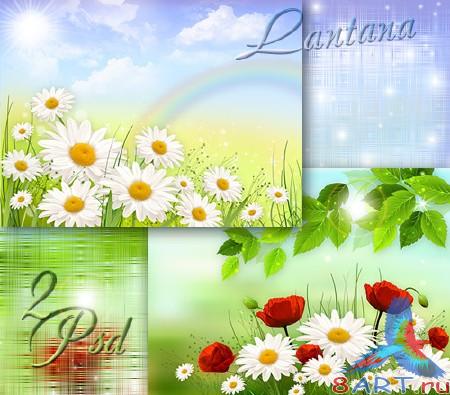 PSD  -     - ,  